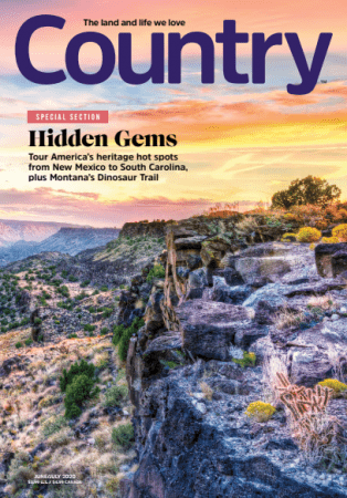 FreeCourseWeb Cook s Country June July 2020