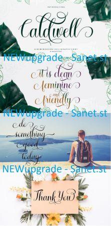 DesignOptimal Caldwell Script Regular