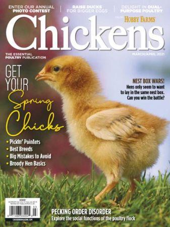 DevCourseWeb Chickens March April 2021
