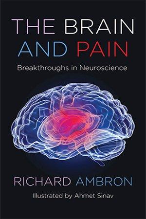 The Brain and Pain Breakthroughs in Neuroscience PDF DevCourseWeb