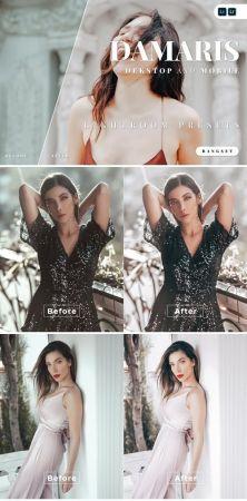 DesignOptimal Damaris Desktop and Mobile Lightroom Preset