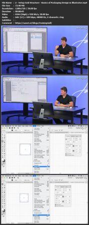 CreativeLive Basics of Packaging Design in Illustrator