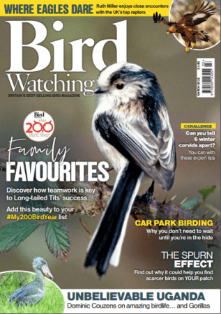 Bird Watching UK March 2022