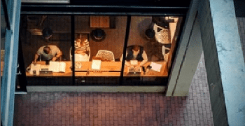 FreeCourseWeb Udemy Anxiety Management in COVID 19 Corona Virus Pandemic