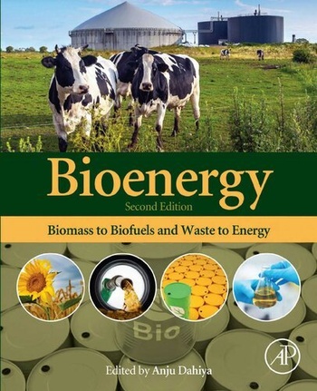 FreeCourseWeb Bioenergy Biomass to Biofuels and Waste to Energy 2nd Edition
