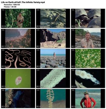 Life on Earth BBC 1979 1280x720p HD 50fps soft Eng subs