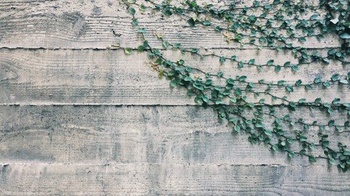 DevCourseWeb Udemy Learning about GOOGLE Products Towards Smart Computing