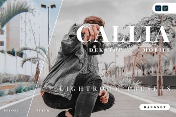 DesignOptimal Callia Desktop and Mobile Lightroom Preset