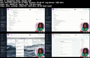 Udemy Asana Project Management Complete Guide to using Asana 21