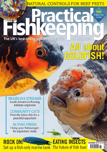 FreeCourseWeb Practical Fishkeeping November 2019