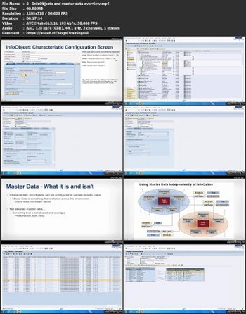 FreeCourseWeb Lynda Introduction to SAP BI BW