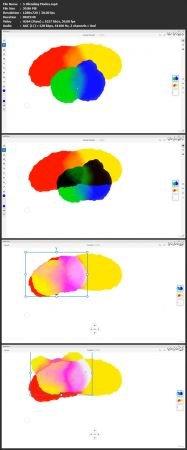 Udemy Learning Adobe Fresco from Scratch