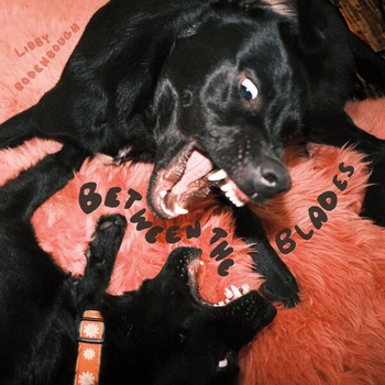 Libby Rodenbough Between the Blades 2023 24Bit 96kHz FLAC PMEDIA