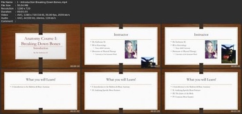 Udemy Anatomy Course I Breaking Down Bones