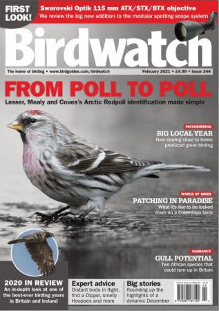 DevCourseWeb Birdwatch UK February 2021