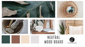 DevCourseWeb Skillshare Adobe Spark Post Social Media for Creatives and Small Business