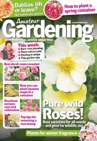 DevCourseWeb Amateur Gardening 14 November 2020 True PDF