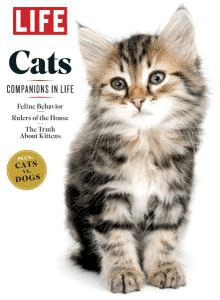 FreeCourseWeb LIFE Cats 2019 True PDF