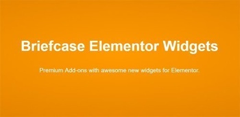 DesignOptimal Briefcase Elementor Widgets v1 5 7 NULLED