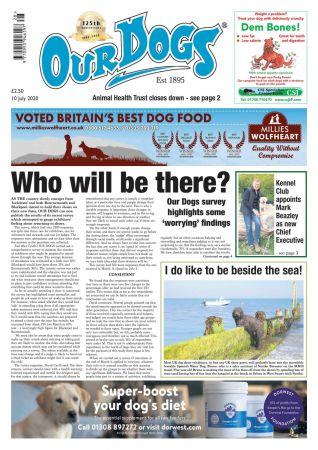 FreeCourseWeb Our Dogs July 2020