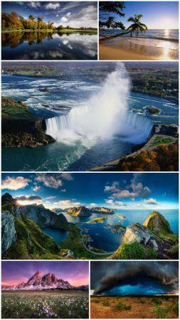 DesignOptimal Nature collection Part 103