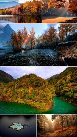 DesignOptimal Fall scenery wallpaper Pack 29