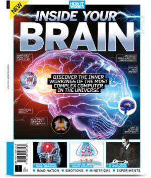 FreeCourseWeb How It Works Inside Your Brain First Edition 2019