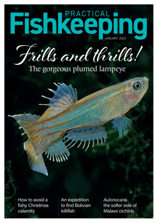 Practical Fishkeeping January 2023