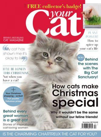 FreeCourseWeb Your Cat December 2019
