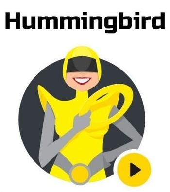 DesignOptimal WPMU DEV Hummingbird Pro v2 2 2 WordPress Plugin