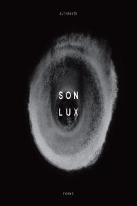 Son Lux Alternate Forms 2023 24Bit 44 1kHz FLAC PMEDIA