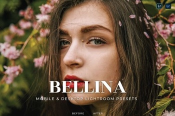 DesignOptimal Bellina Mobile and Desktop Lightroom Presets