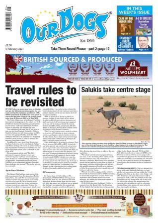 DevCourseWeb Our Dogs 05 February 2021