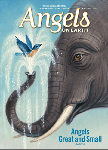Angels on Earth May June 2022