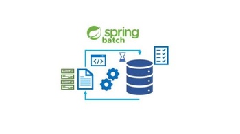 FreeCourseWeb Udemy Master Spring Batch