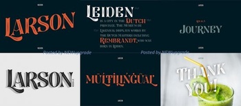 DesignOptimal Larson Font
