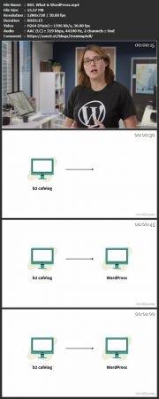 Linkedin WordPress Essential Training 2022