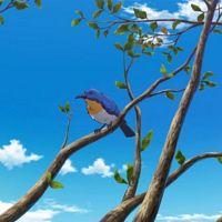 Kusuriya no Hitorigoto 02 480p Multiple Subtitle A04B8DD3 Erai raws TGx