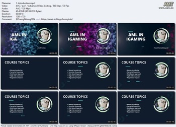 Udemy Anti Money Laundering in Gambling