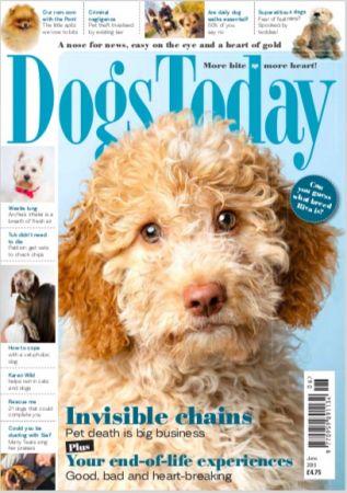 FreeCourseWeb Dogs Today UK June 2019