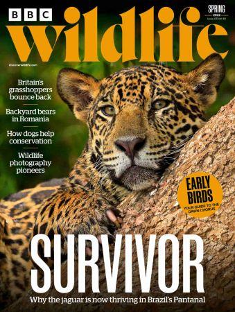 BBC Wildlife Magazine Spring 2022 CourseWikia