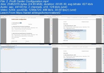 Udemy SAP S 4HANA Finance General Ledger Configuration End User