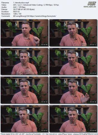 Udemy Plan your ideal garden