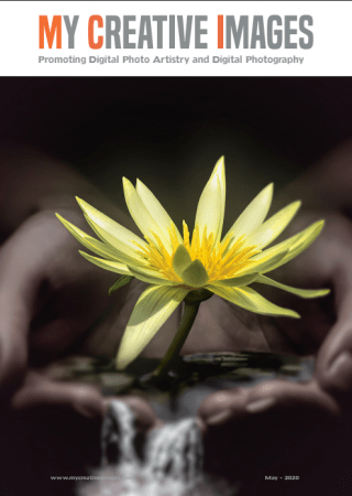 FreeCourseWeb My Creative Images May 2020