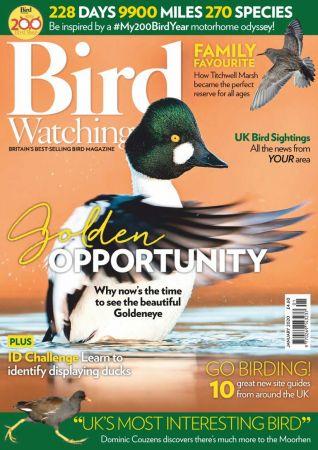 FreeCourseWeb Bird Watching UK January 2020