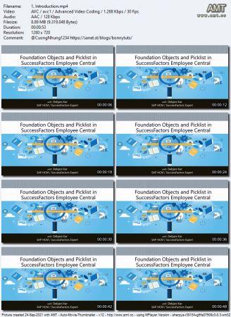 Udemy Foundation Objects and Picklist in SuccessFactors