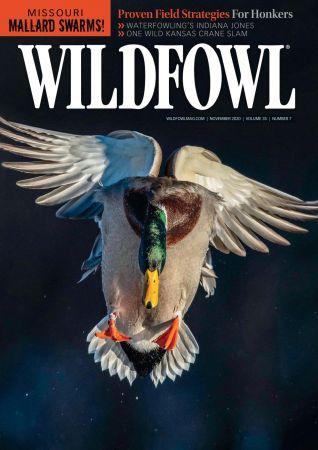 FreeCourseWeb Wildfowl November 2020