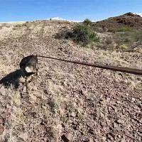 Tucker Carlson Originals S02E10 Battle for the Border 1080p WEB h264 SiLENTWAR TGx