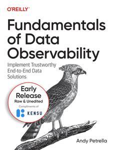 Fundamentals of Data Observability 6th Early Release