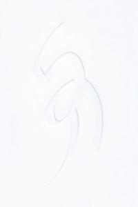 David August VĪS 2023 24Bit 44 1kHz FLAC PMEDIA